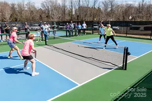 56113 Finches Ct, Indian Land, SC 29707 - Photo 35