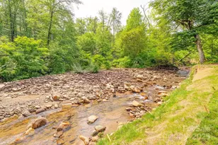 2143 Pisgah Hwy, Candler, NC 28715 - Photo 11