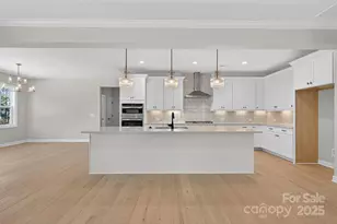 11009 Tyler Brook Ln, Mint Hill, NC 28227 - Photo 9