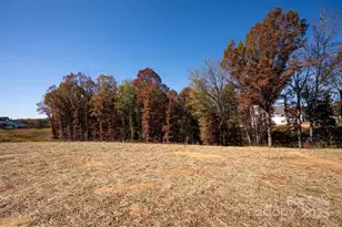 11009 Tyler Brook Ln, Mint Hill, NC 28227 - Photo 47