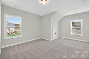 11009 Tyler Brook Ln, Mint Hill, NC 28227 - Photo 39