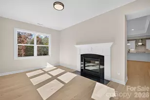 11009 Tyler Brook Ln, Mint Hill, NC 28227 - Photo 21