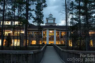 21214 W Tern Ct, Fort Mill, SC 29707 - Photo 47