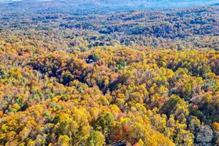 110 Spring Path, Hendersonville, NC 28739 - Photo 41