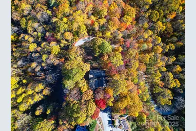 110 Spring Path, Hendersonville, NC 28739 - Photo 3