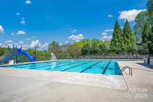 167 Foxtail Dr, Mooresville, NC 28117 - Photo 23