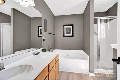 167 Foxtail Drive, Mooresville, NC 28117 - Photo 19