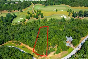 40 Deep Gap Farm Road E, Mill Spring, NC 28756 - Photo 11