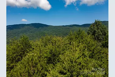 40 Deep Gap Farm Road E, Mill Spring, NC 28756 - Photo 9