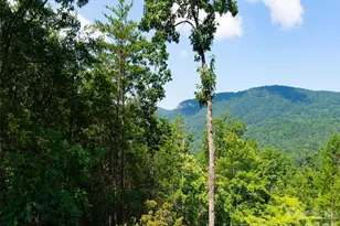 40 Deep Gap Farm Road E, Mill Spring, NC 28756 - Photo 7