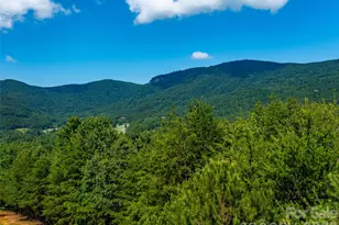 40 Deep Gap Farm Road E, Mill Spring, NC 28756 - Photo 5