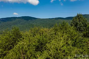 40 Deep Gap Farm Road E, Mill Spring, NC 28756 - Photo 9