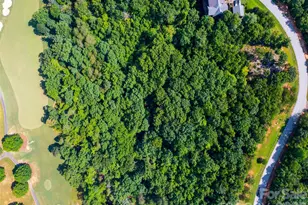 40 Deep Gap Farm Road E, Mill Spring, NC 28756 - Photo 13