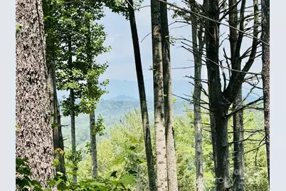 2.07 Acres, 2058 Thoroughbred Way #G16, Lenoir, NC 28645 - Photo 3
