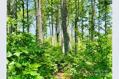 2.07 Acres, 2058 Thoroughbred Way #G16, Lenoir, NC 28645 - Photo 11