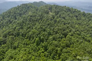 55 Red Wolf Run, Burnsville, NC 28714 - Photo 13