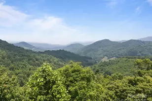 55 Red Wolf Run, Burnsville, NC 28714 - Photo 5