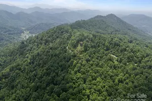 55 Red Wolf Run, Burnsville, NC 28714 - Photo 3