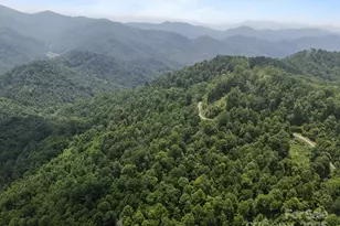 55 Red Wolf Run, Burnsville, NC 28714 - Photo 11