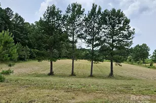 2905 Medlin Rd, Monroe, NC 28112 - Photo 35