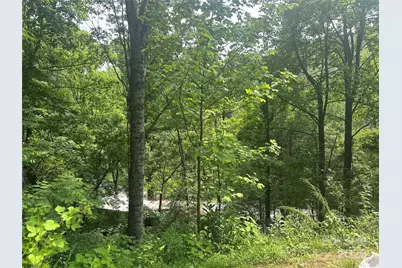 193 Green Cove Road, Bakersville, NC 28705 - Photo 21