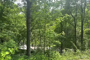 193 Green Cove Rd, Bakersville, NC 28705 - Photo 21