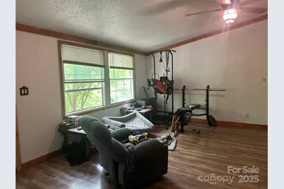 193 Green Cove Road, Bakersville, NC 28705 - Photo 7