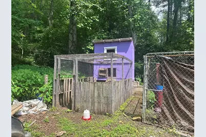 193 Green Cove Road, Bakersville, NC 28705 - Photo 19