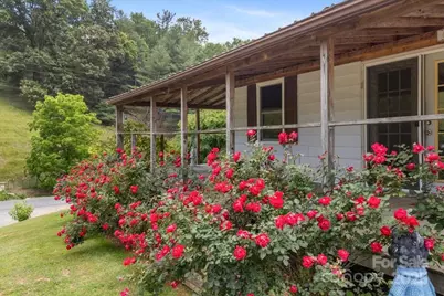 461 Tweed Road, Madison, NC 28753 - Photo 29