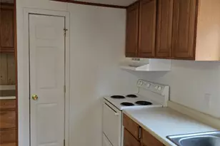 461 Tweed Rd, Madison, NC 28753 - Photo 15