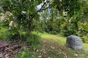 78 Moffitt Hill Church Rd, Old Fort, NC 28762 - Photo 13