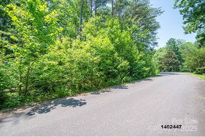 00 Washburn Lane, Rutherfordton, NC 28139 - Photo 15