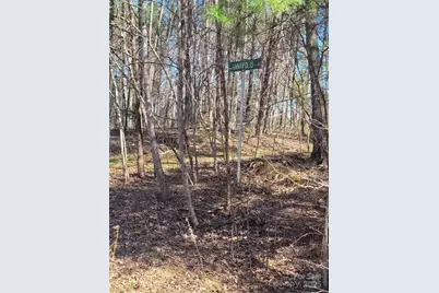00 Washburn Lane, Rutherfordton, NC 28139 - Photo 17