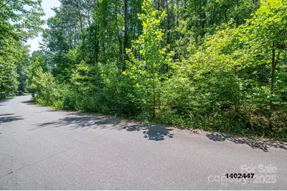 00 Washburn Lane, Rutherfordton, NC 28139 - Photo 21