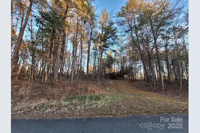 00 Washburn Lane, Rutherfordton, NC 28139 - Photo 3