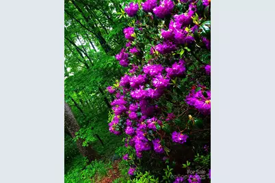 23 Hunting Lodge Drive, Black Mountain, NC 28711 - Photo 41