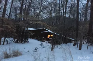 23 Hunting Ldg Dr, Black Mountain, NC 28711 - Photo 39