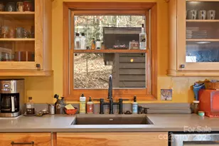 23 Hunting Ldg Dr, Black Mountain, NC 28711 - Photo 13