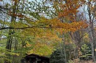 23 Hunting Ldg Dr, Black Mountain, NC 28711 - Photo 25