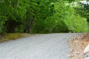 394 Hummingbird Ln, Elk Park, NC 28622 - Photo 47