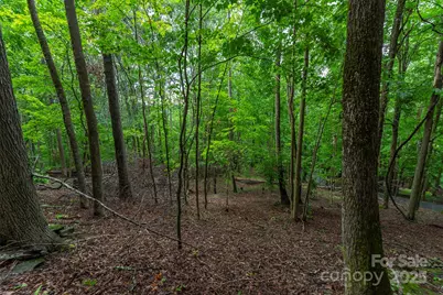 25 Hickory Springs Road #25, Burnsville, NC 28714 - Photo 9