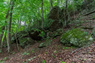 25 Hickory Springs Rd, Burnsville, NC 28714 - Photo 7