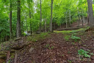 25 Hickory Springs Rd, Burnsville, NC 28714 - Photo 3