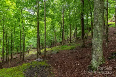 25 Hickory Springs Road #25, Burnsville, NC 28714 - Photo 17