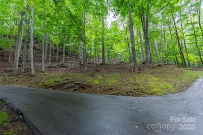 25 Hickory Springs Road #25, Burnsville, NC 28714 - Photo 19