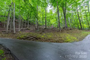 25 Hickory Springs Rd, Burnsville, NC 28714 - Photo 19