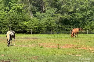847 Crowe Dairy Rd, Forest City, NC 28043 - Photo 5