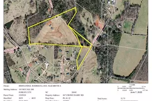 847 Crowe Dairy Rd, Forest City, NC 28043 - Photo 35