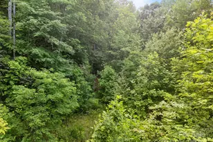 10 Turkey Trot Trail, Sylva, NC 28779 - Photo 7