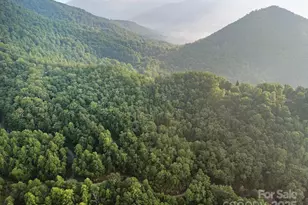 10 Turkey Trot Trail, Sylva, NC 28779 - Photo 9